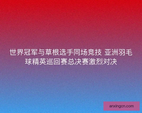 世界冠军与草根选手同场竞技 亚洲羽毛球精英巡回赛总决赛激烈对决